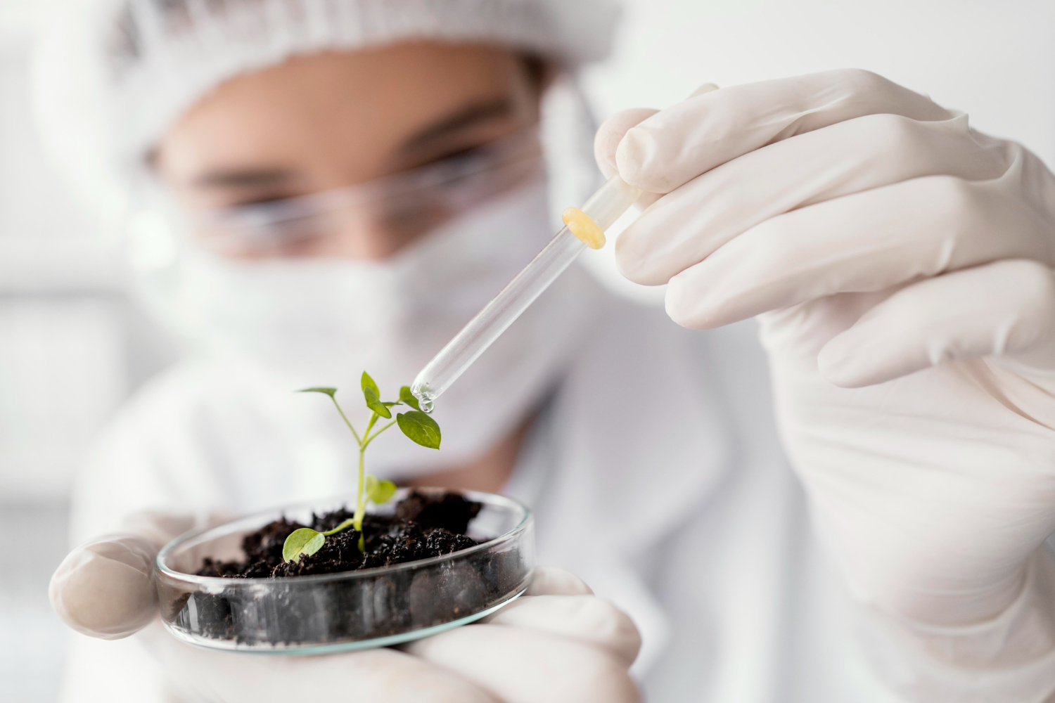 Bioinżynieria – weź udział w doświadczeniu z użyciem nasion, które spędziły rok w kosmosie