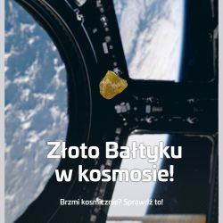 ignis pr bag bursztyn
