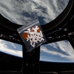 Zdjęcie polskich liter zawierających znaki diakrytyczne &ndash; ą, ć, ę, ł, ń, &oacute;, ś, ź, ż.