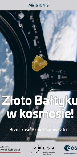 Zdjęcie bursztynu znad bałtyckiej plaży na ISS